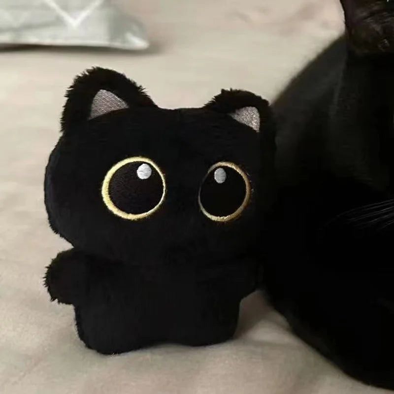 Cute Stuffed Black Cat