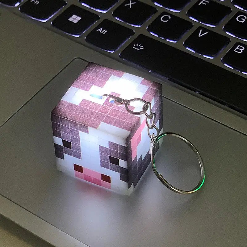 Mini LED Torch Keychain/Night Light.