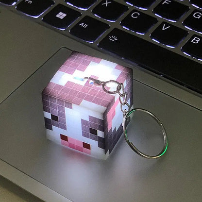 Mini LED Torch Keychain/Night Light.